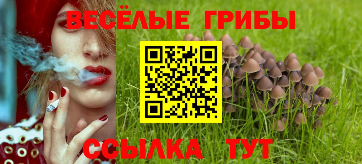 Псилоцибиновые грибы прущие грибы  Вход с VPN  Лобня 